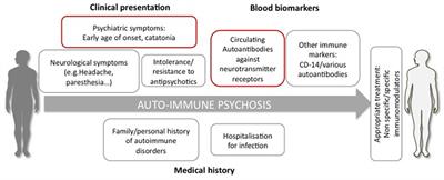 The Clinical Challenge of Autoimmune Psychosis: Learning from Anti-NMDA Receptor Autoantibodies